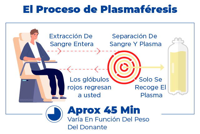 Plasmapheresis process infographic
